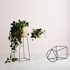 JFR-019 Rose Flower Displays /Display Rack